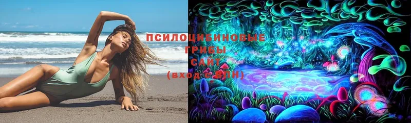 ОМГ ОМГ вход  Горнозаводск  Галлюциногенные грибы Cubensis 